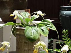 -云溪植物园