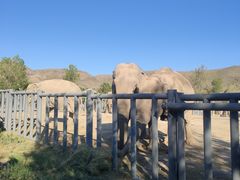 -新疆天山野生动物园