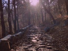 -阳台山自然风景区