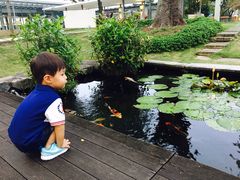 -新加坡瑞士史丹福酒店