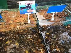 水产区-海景壹号大酒店(惠钱路店)