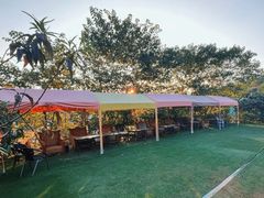 -桃源山庄·水蜜桃采摘·柴火鸡·烧烤团建(龙泉山店)