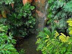 -昆明植物园