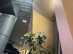 -gaga(深圳福田星河COCO Park店)