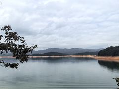 -广州市流溪河国家森林公园