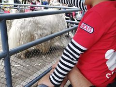 -长白岛森林公园