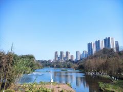 -重庆彩云湖湿地公园
