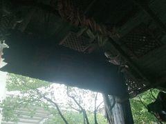 -杭州乐园