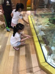 -七巧国萌宠乐园(龙湖天街店)