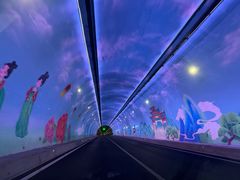 -洛阳白云山景区