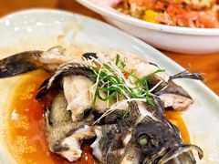 清蒸龙胆鱼-醉壹号海鲜大排档(厦门美食地标店)