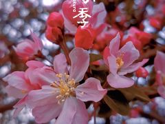 -民园广场