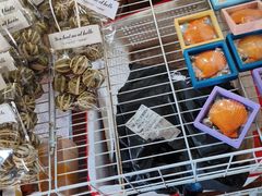 -蓝湾碧波·老字号·疍家非遗海上餐厅
