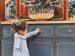 -新雅粤菜馆(南京东路店)