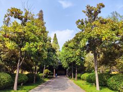 -太平天国侍王府