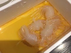 -HIHE Bistro·Oyster Bar(华熙live店)