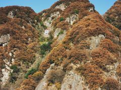 -秦岭终南山世界地质公园翠华山景区