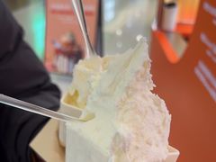 -野人先生现做冰淇淋(北京王府井东方新天地店)