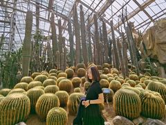 -南山植物园