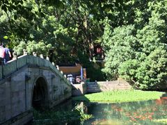 -普陀山风景名胜区-法雨禅寺