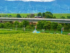 -光明小镇欢乐田园