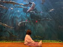 -华夏文旅西安度假区