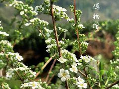 -中国茶叶博物馆(双峰馆区)