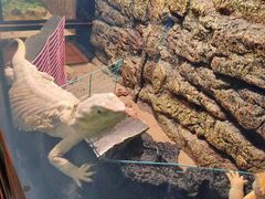 -秦皇岛新澳海底世界