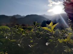 -井冈山风景名胜区