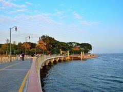 -深圳湾公园(南山区)