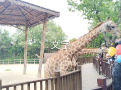 -上海野生动物园