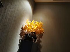 -Dragonfly 悠庭·按摩Spa(苏州中心广场店)