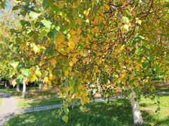 -长春公园(普阳街道)