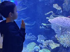 -左海海底世界