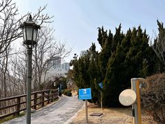 -燕儿岛山公园