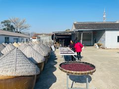 -苏州市吴中区光福窑上花果蜜饯厂