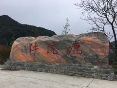-鹿院坪生态旅游景区