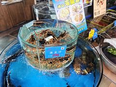 -乔家小院•非遗驴肉•本地小海鲜(滨河路店)