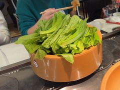 -龍歌自助小火锅(崂山丽达店)