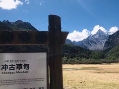 -稻城亚丁景区-冲古草甸