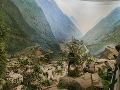 -遵义会议纪念馆