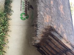 -大象粑粑造纸公园