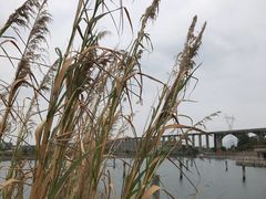 -金汤湾海水温泉度假酒店