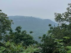 -铁山坪森林公园