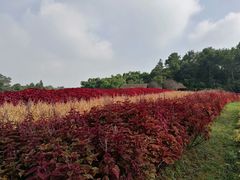 -保利石象湖景区