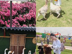 -栖露营camping·天幕烧烤·团建拓展·采摘营地