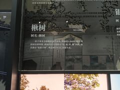 -晋祠博物馆