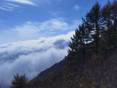 -白草畔自然风景区