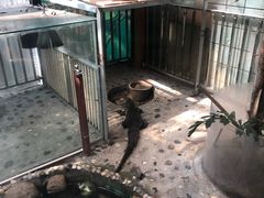-上海大自然野生昆虫馆(东方明珠·爬宠昆虫探索中心)