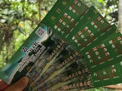 -西双版纳原始森林公园